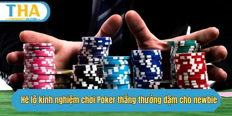 Hé lộ kinh nghiệm chơi Poker thắng thưởng đậm cho newbie