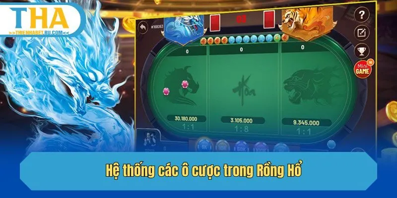 Hệ thống các ô cược trong Rồng Hổ
